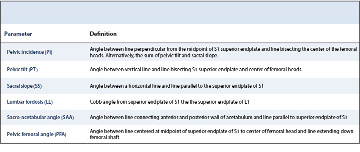 Spinopelvic Mobility THA Table 1